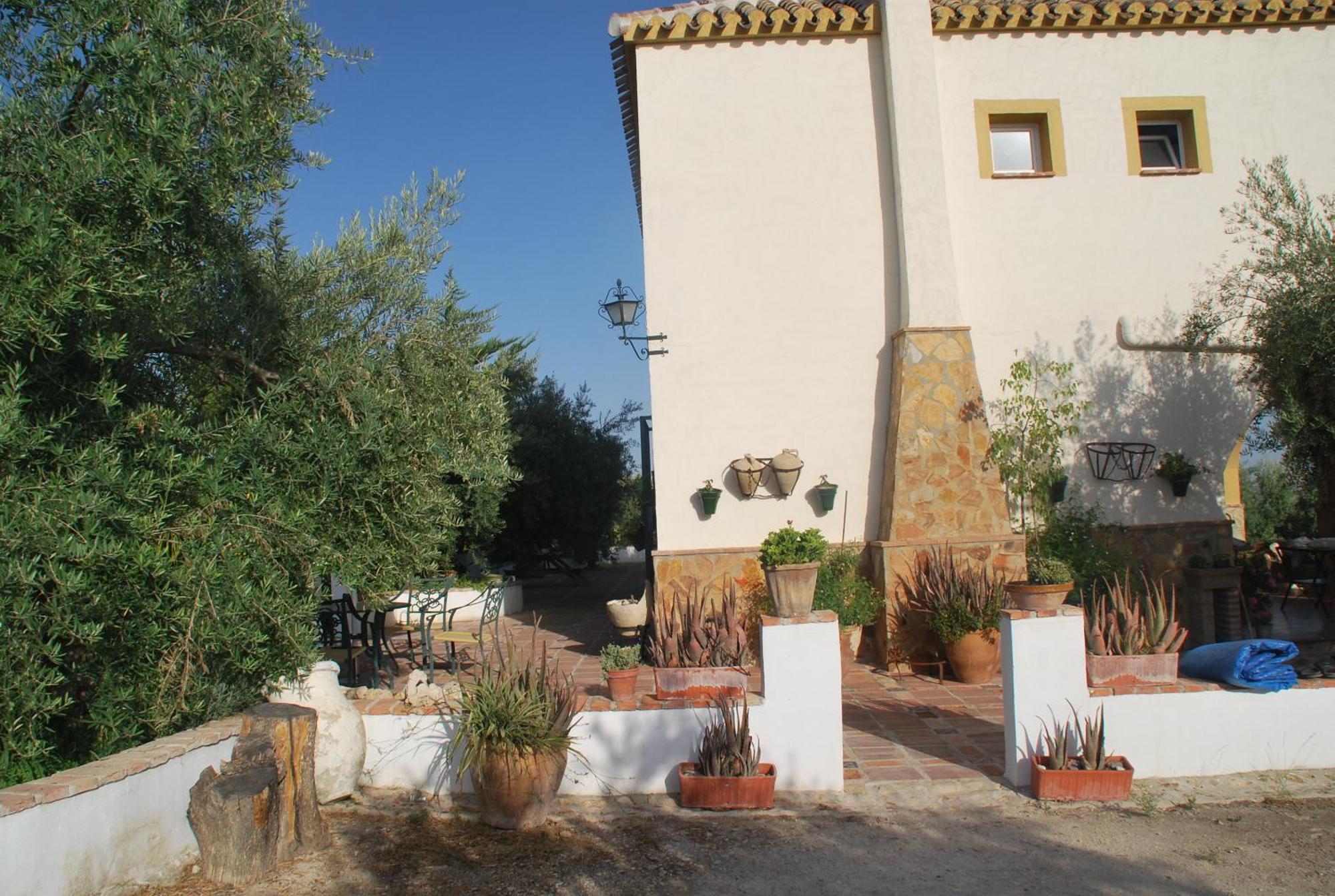 Agroturismo Ecologico El Cortijillo Luque Exterior photo