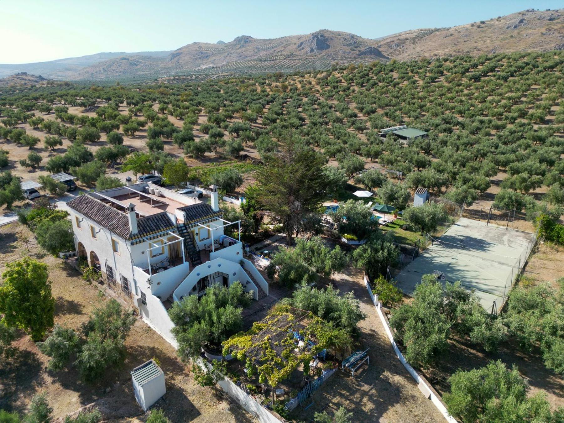 Agroturismo Ecologico El Cortijillo Luque Exterior photo
