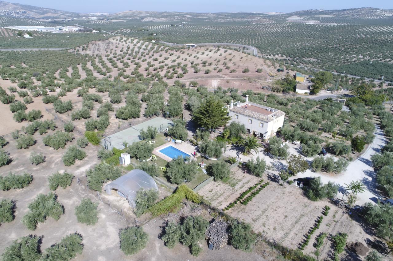 Agroturismo Ecologico El Cortijillo Luque Exterior photo